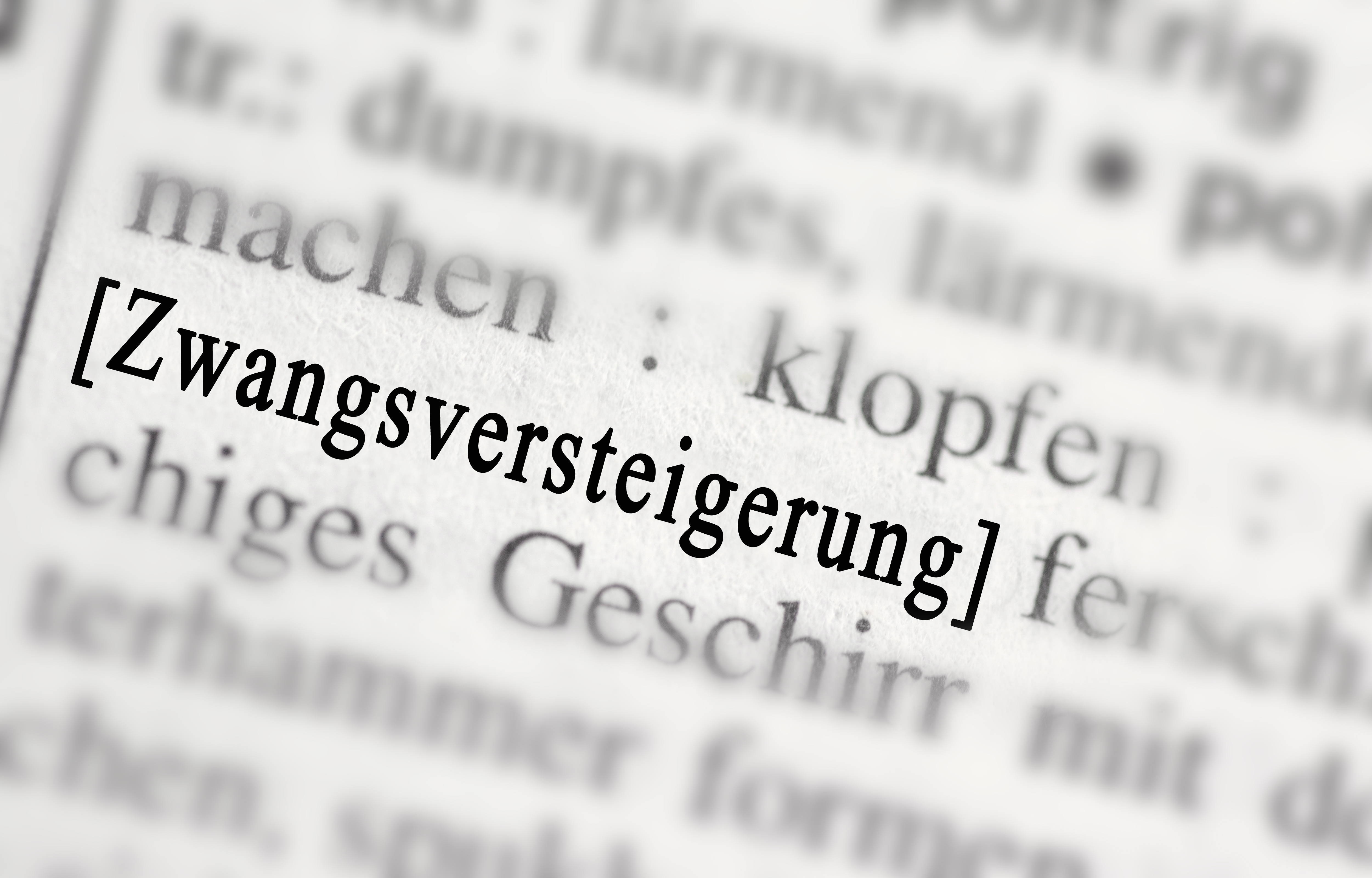 Absatz im Buch Zwangsversteigerung